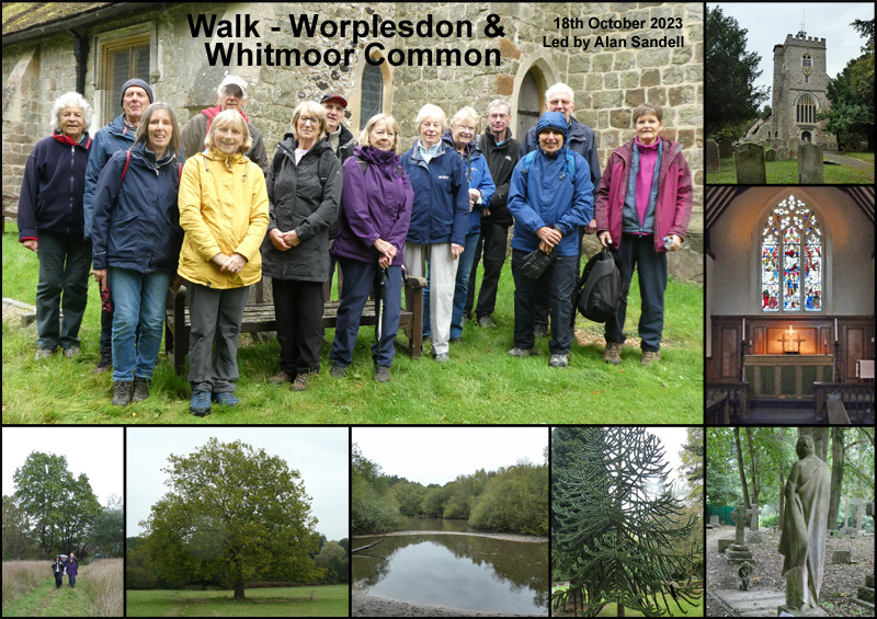 Walk – Worplesdon & Whitmoor Common - 18th October 2023